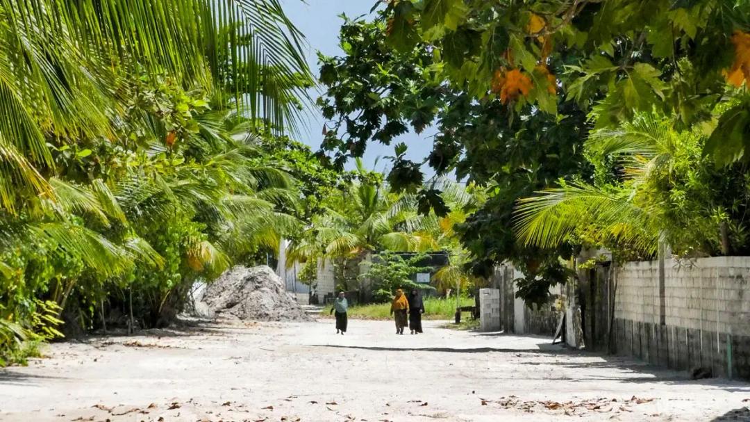 މާފަރުން ގެވަޅު ދޫކުރަން ކުރި އިޢުލާން ދެވަނަ ފަހަރަށް ބާތިލްކޮށްފި 
