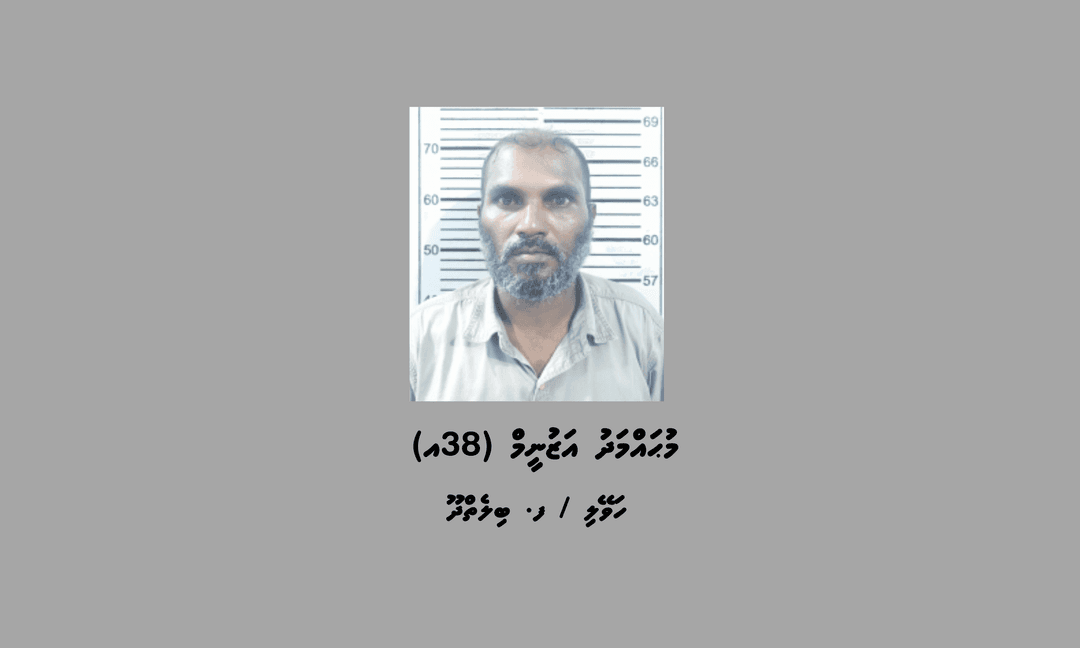 ބިލެތްދޫއަށް މަސްތުވާތަކެތި އެތެރެކުރަން އުޅުނު މީހަކު ހައްޔަރުކޮށްފި
