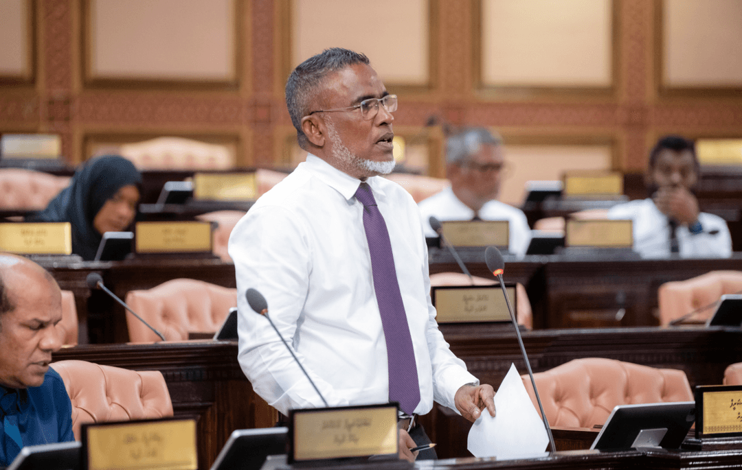  ގައުމުގެ އިގްތިސޯދު ހަލާކުކުރަން ދޮގު ފަތުރައި، ގެއްލުންދޭ ޕާޓީތަކަށް ފިޔަވަޅު އެޅުމަށް އީސީ އަށް ގޮވާލައިފި