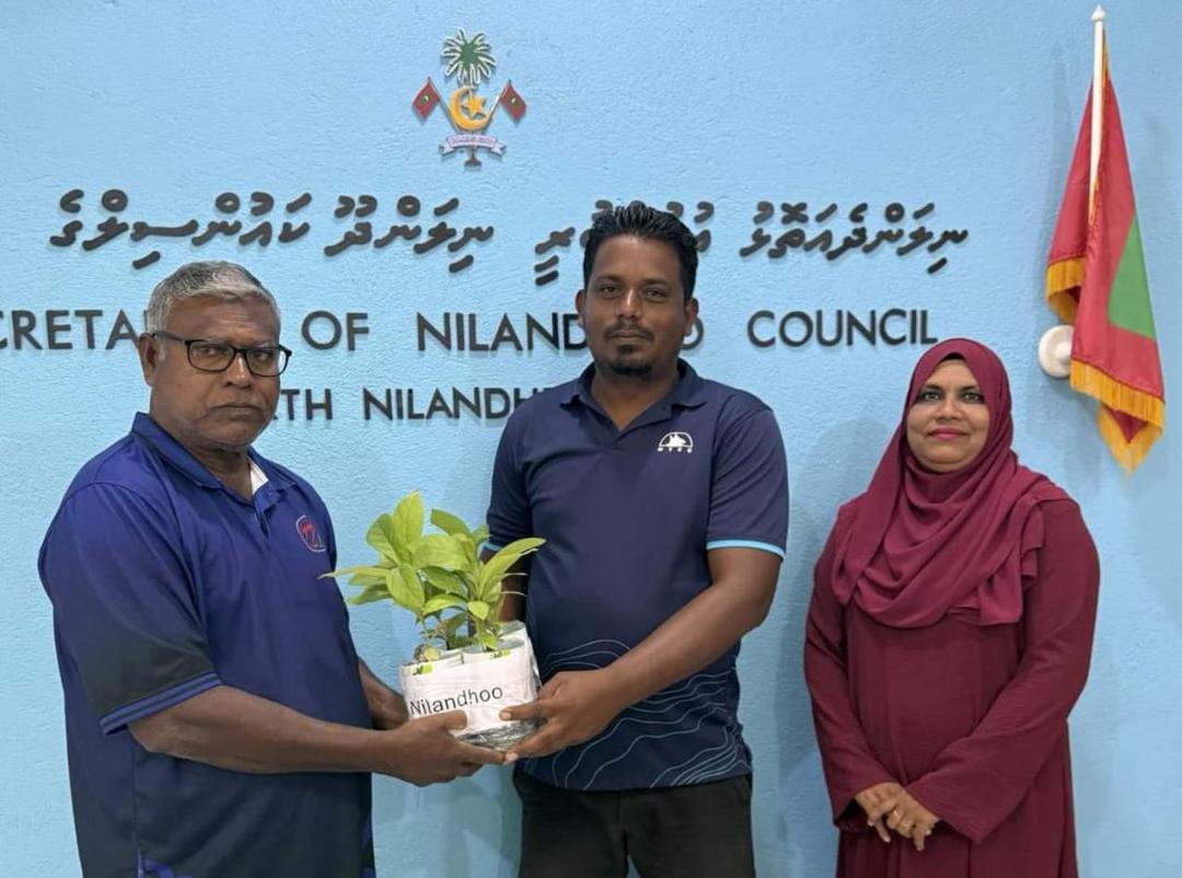 5 މިލިއަން ގަސް އިންދުމުގެ މަޝްރޫޢު: 7 އަތޮޅަކަށް ހައިވަކަރު ގަސް ބަހަނީ
