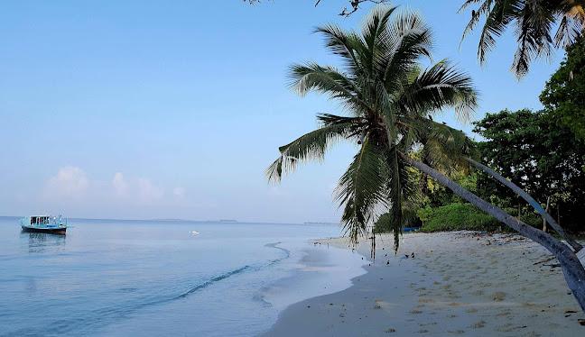    ކެނދިކުޅުދޫގެ އަތިރި މައްޗަށް ކުނި އަޅާ ފަރާތްތަކާމެދު ޤާނޫނީ ފިޔަވަޅު އަޅަނީ