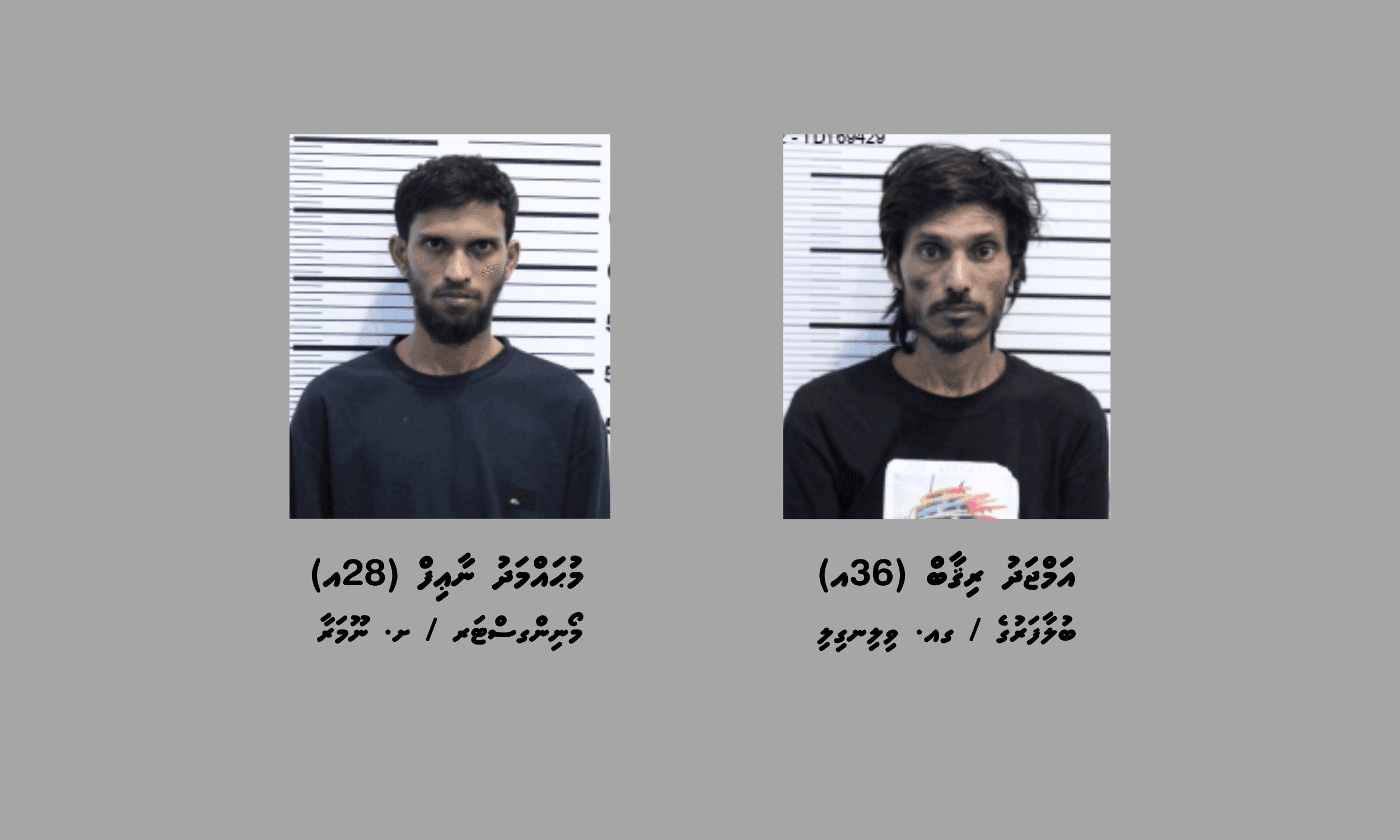 ގިނައަދަދެއްގެ މަސްތުވާތަކެއްޗާއެކު ދެ މީހަކު ހައްޔަރުކޮށްފި