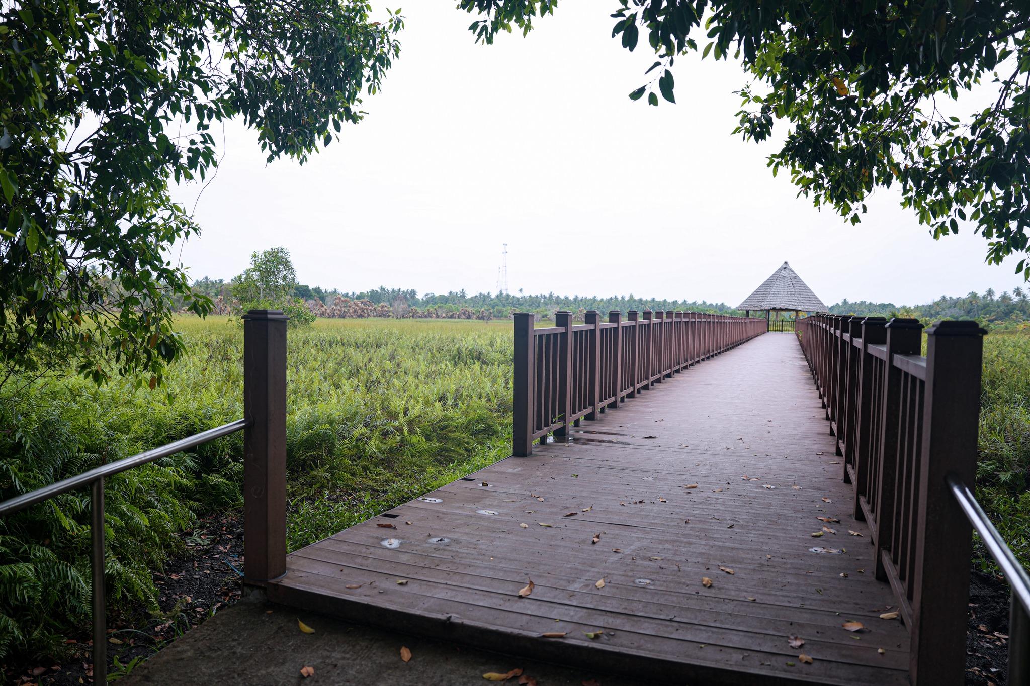 ފުވައްމުލަކުގެ ބޯޑް ވޯކުއެއް، ފޮޓޯ÷: ސިޓީ ކައުންސިލް