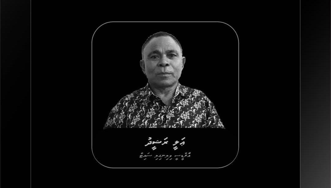 މަސްވެރި އަލިބެ ކުއްލިގޮތަކަށް ނިޔާވެއްޖެ