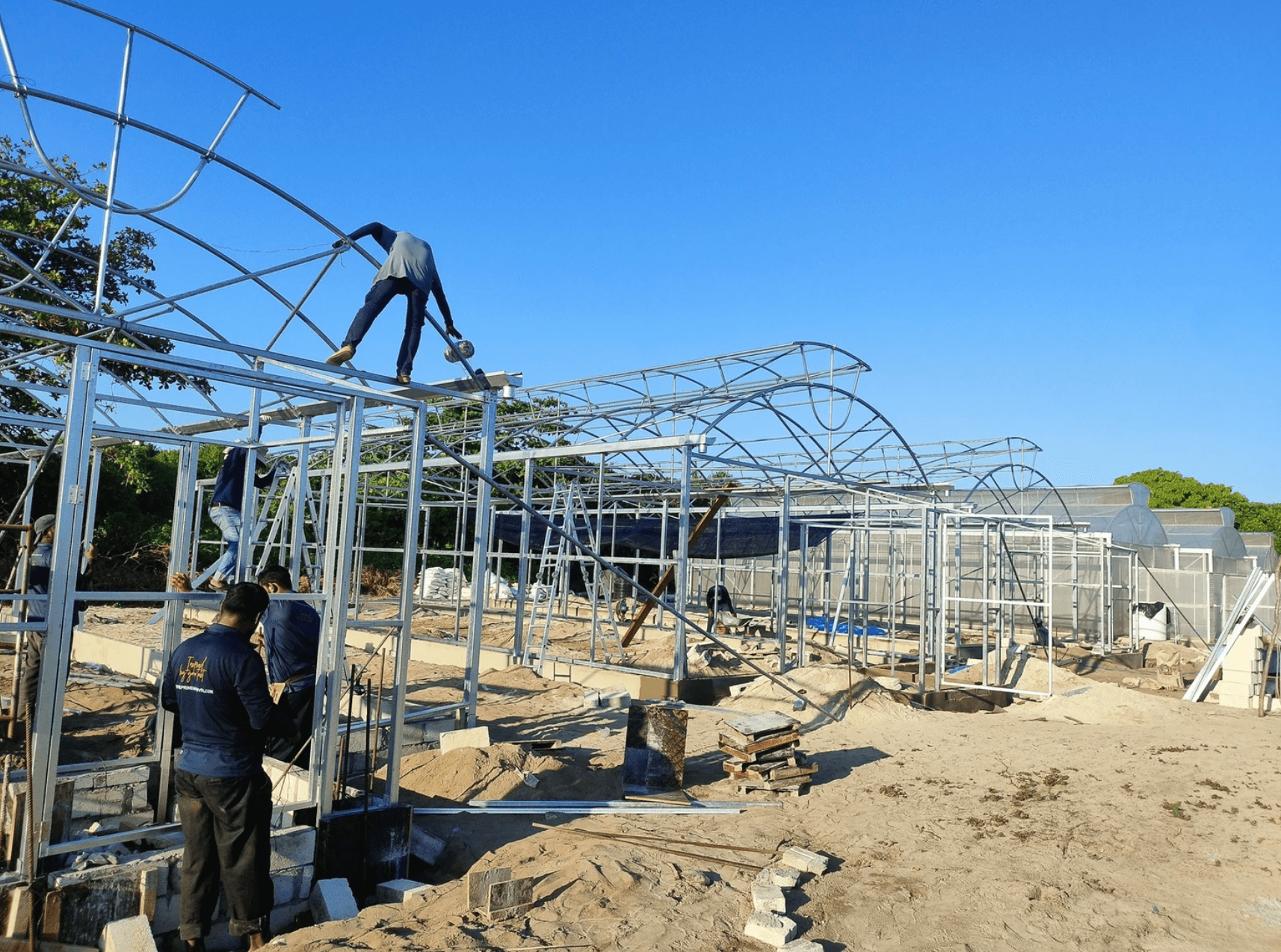 ގޮއިދޫގައި ގާއިމް ކުރާ، ގްރީހައުސްތަކުގެ 75 އިންސައްތަ ނިމިއްޖެ 