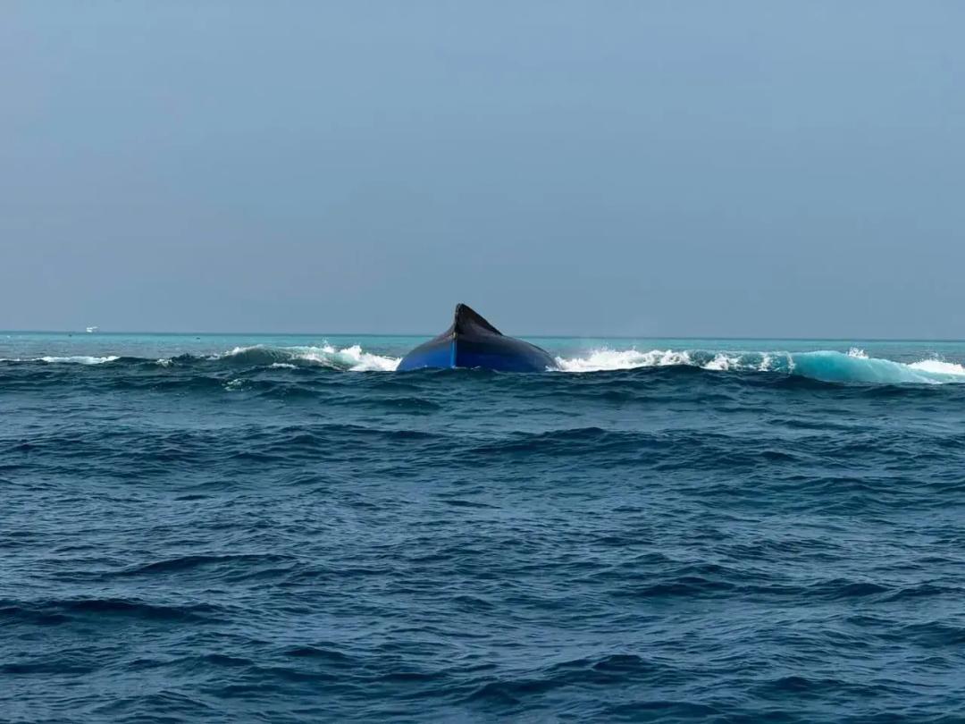 ބަންޑުން ޖަހާލި ބޯޓުން ގެއްލުނު ބިދޭސީ މީހާ އަދިވެސް ނުފެނޭ