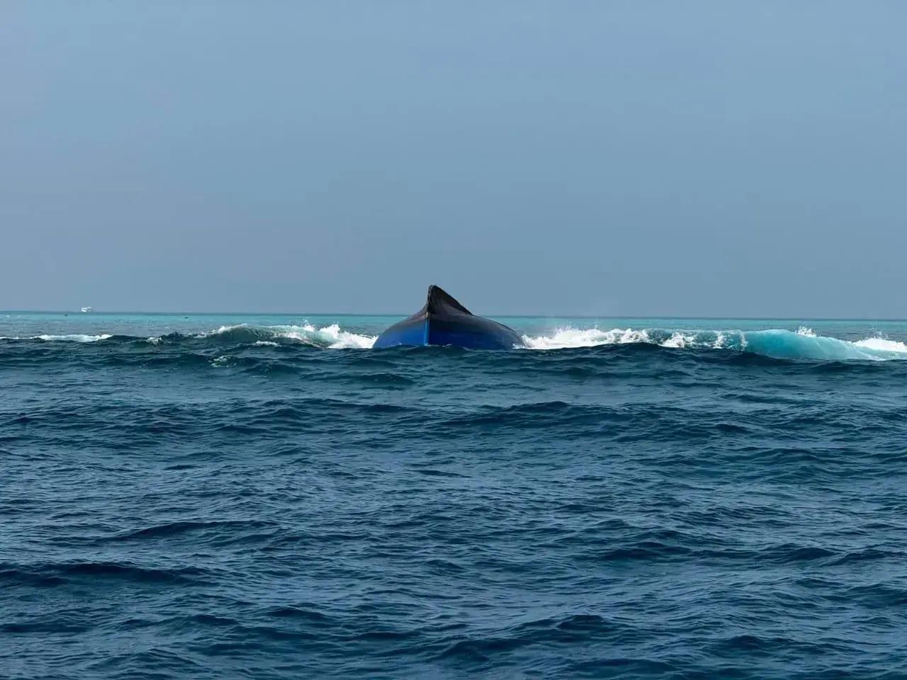 ބަންޑުން ޖަހާލި ބޯޓުން ގެއްލުނު ބިދޭސީ މީހާ އަދިވެސް ނުފެނޭ