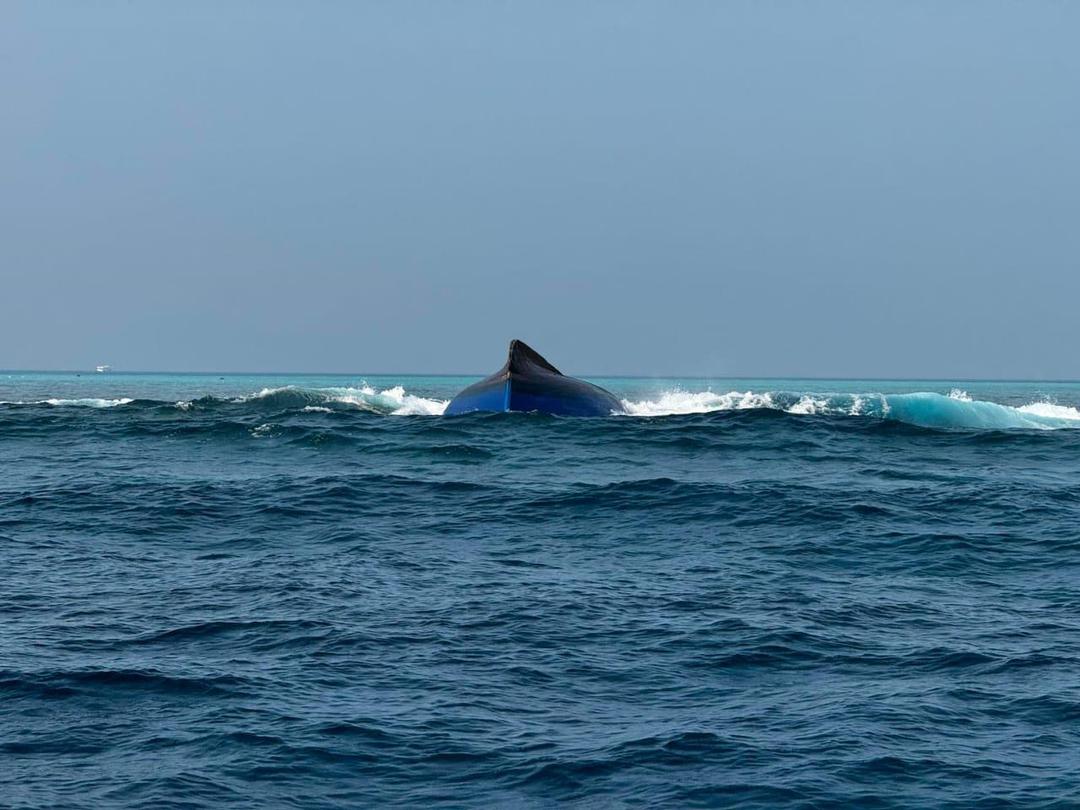 މުދާ އުފުލާ ދޯންޏެއް ބަންޑުން ޖަހާލައި ދެ މީހަކު ގެއްލިއްޖެ