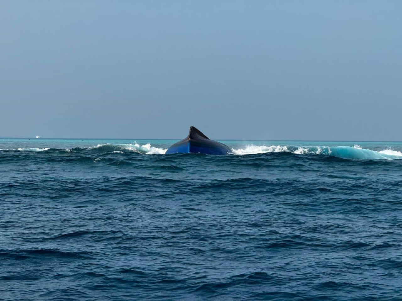 މުދާ އުފުލާ ދޯންޏެއް ބަންޑުން ޖަހާލައި ދެ މީހަކު ގެއްލިއްޖެ