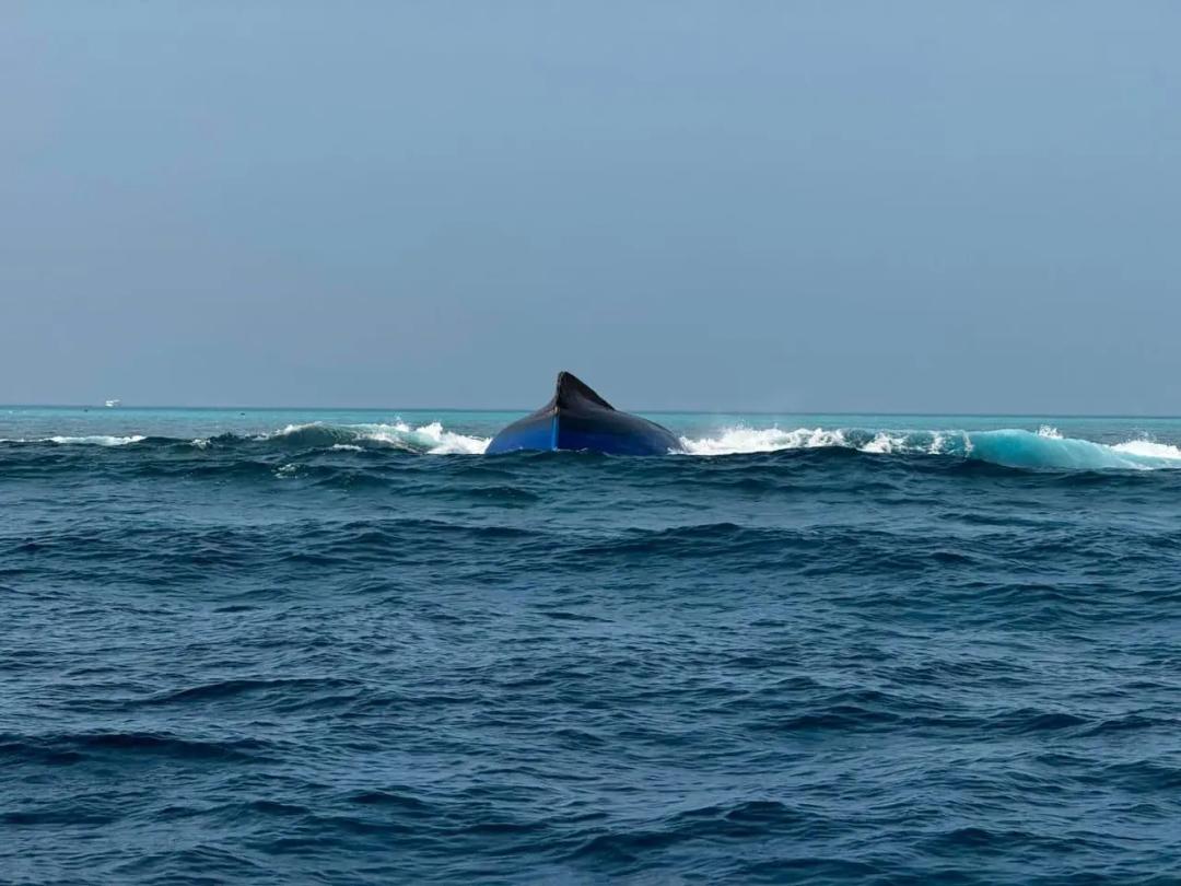 ބަންޑުން ޖަހާލި ބޯއްޓުން ގެއްލުނު އެކަކު ނިޔާވެފައި އޮއްވާ ފެނިއްޖެ