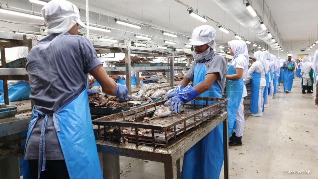 ފެލިވަރު ކޯލްޑް ސްޓޯރޭޖް މިއަހަރުގެ މެދުތެރޭގައި ބޭނުންކުރަން ފަށަނީ