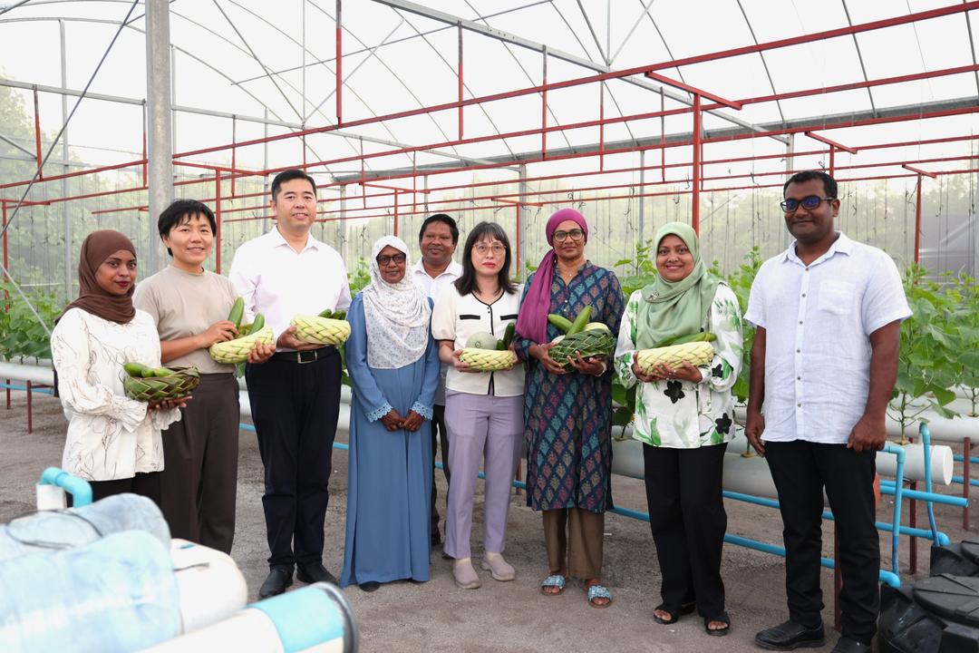 އާބާދީ ކުޑަ ވާދޫ މިއުޅެނީ ޒަމާނީ ދަނޑުވެރިކަމުގައިވެސް ކުރީގައި!