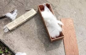 ސިހުރުގެ ފާފަވެރި ޢަމަލަކީ ފަނާކުރުވަނިވި ބޮޑު ސުންޕާއެއް!