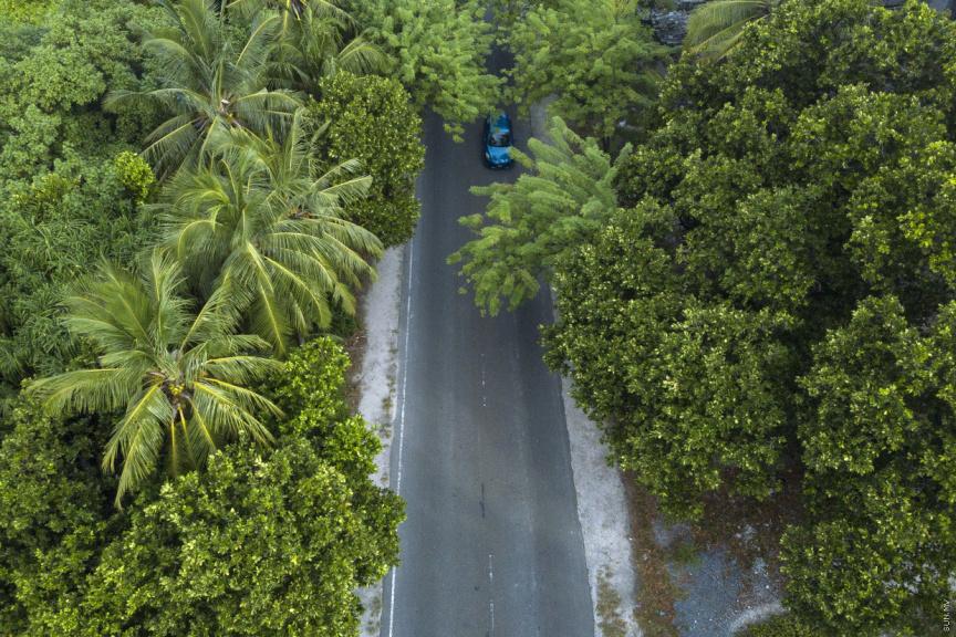 އައްޑޫ "ސްކޫޕު" ގްރޫޕަކީ ގޭންގެއް ކަމަށް ކަނޑައަޅަން ހައިކޯޓަށް ހުށަހަޅައިފި