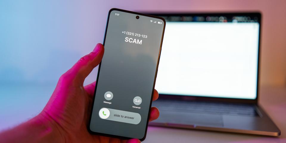 ސްކޭމަރުންނާ މެދު ސަމާލުވޭ: ޑިސެމްބަރުމަހު އެކަނިވެސް މިލިޔަނަކަށްވުރެ ގިނަ ރުފިޔާ ފޭރިގަނެއްޖެ!