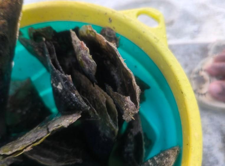 ރަސްފަންނު މޫދުގައި އިތާ ހުރުމުން ސަމާލުވާން އެދިއްޖެ