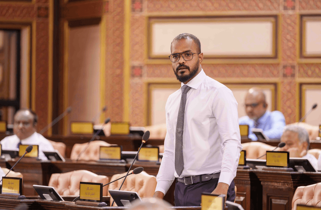 ޑިޕްލޮމެޓުންނާއި ބައިނަލްއަޤްވާމީ ޖަމިއްޔާތަކުގެ އިމްތިޔާޒުތައް ހަރުދަނާކުރަން މަޖިލީހަށް ބިލެއް