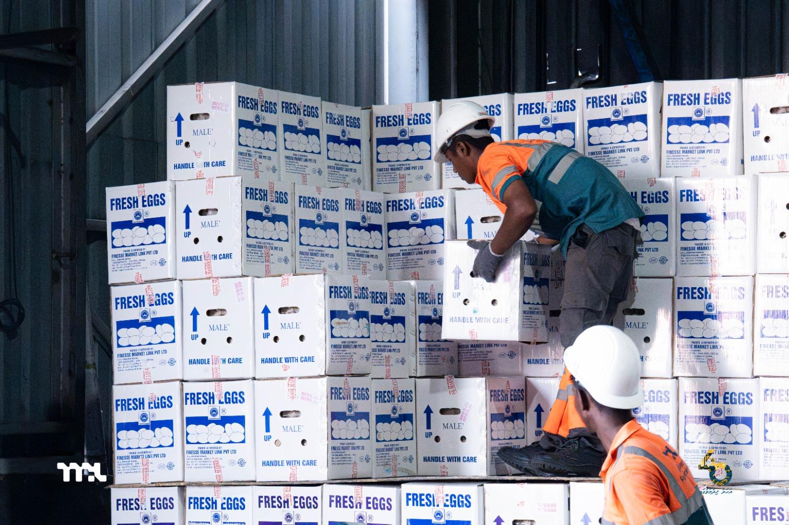 އެމްޕީއެލް އިން އެންމެ ގިނައިން ކްލިއަރކުރި މުދަލަކަށް ކުކުޅުބިސް