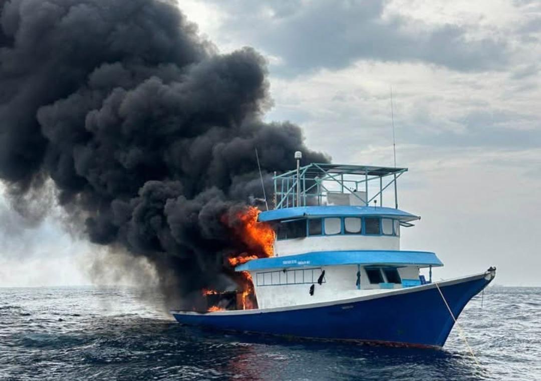 މަސްދޯންޏެއްގައި ރޯވެ އަނދަނީ