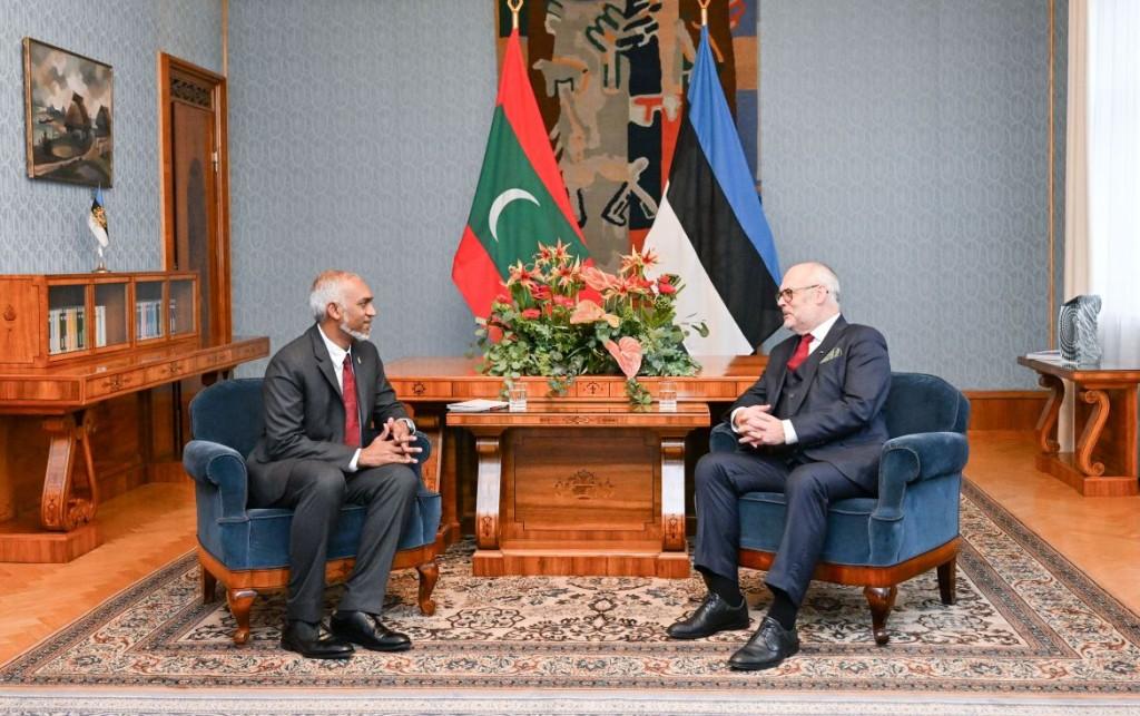 ރައީސް، އެސްޓޯނިއާގެ މިނިވަން ދުވަހުގެ ތަހުނިޔާ ފޮނުއްވައިފި