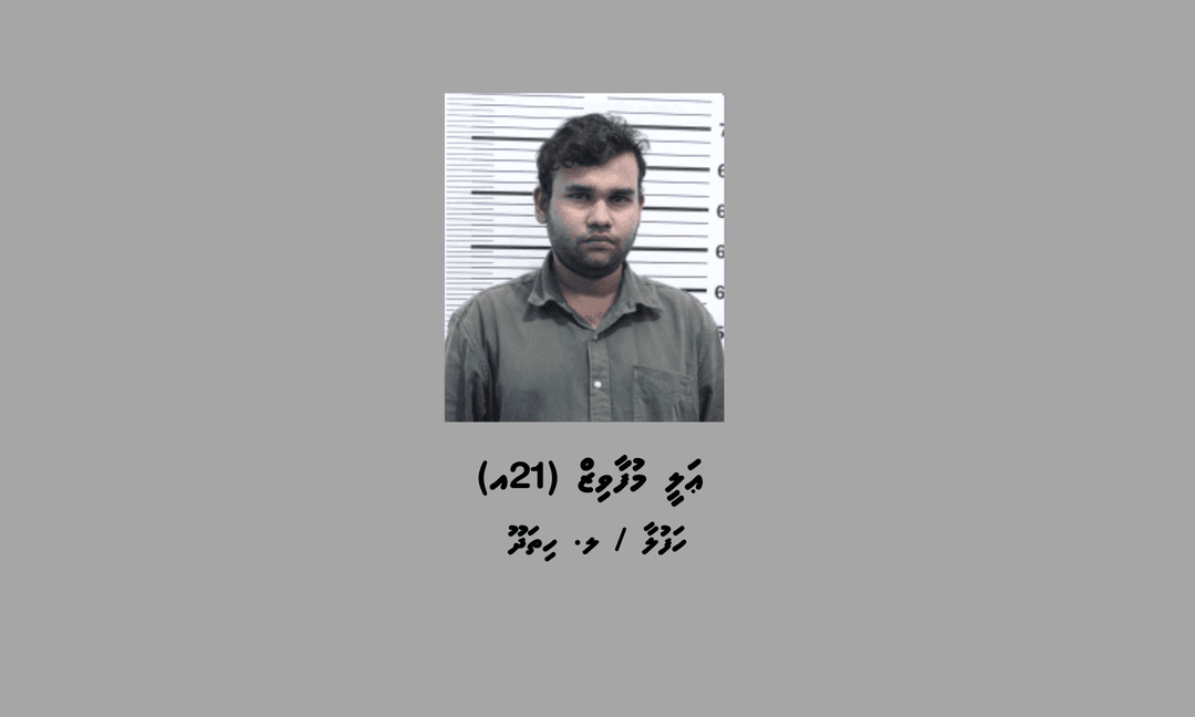 މަސްތުވާތަކެތީގެ ވިޔަފާރިކުރާކަމުގެ ތުހުމަތުގައި މީހަކު ހައްޔަރުކޮށްފި