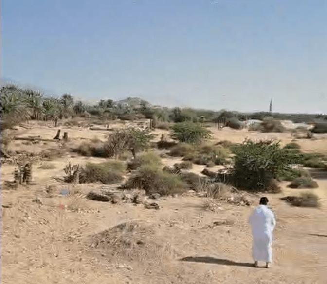 ބަދުރުގެ މައިދާން- 