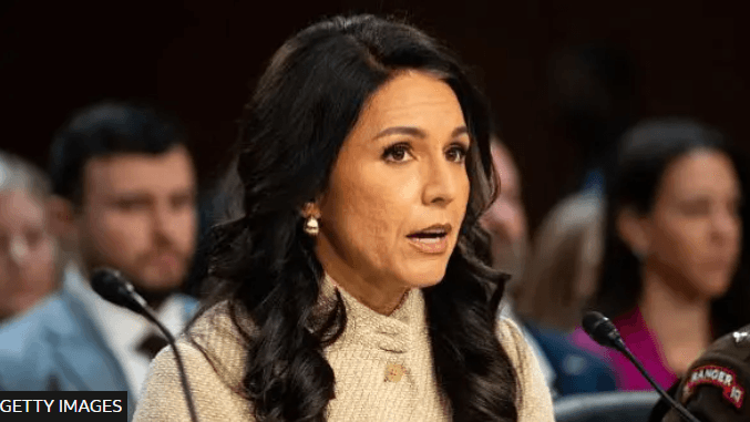 އެމެރިކާގެ ޑައިރެކްޓަރ އޮފް ނެޝަނަލް އިންޓެލިޖެންސް ތުލްސީ ގަބާޑް