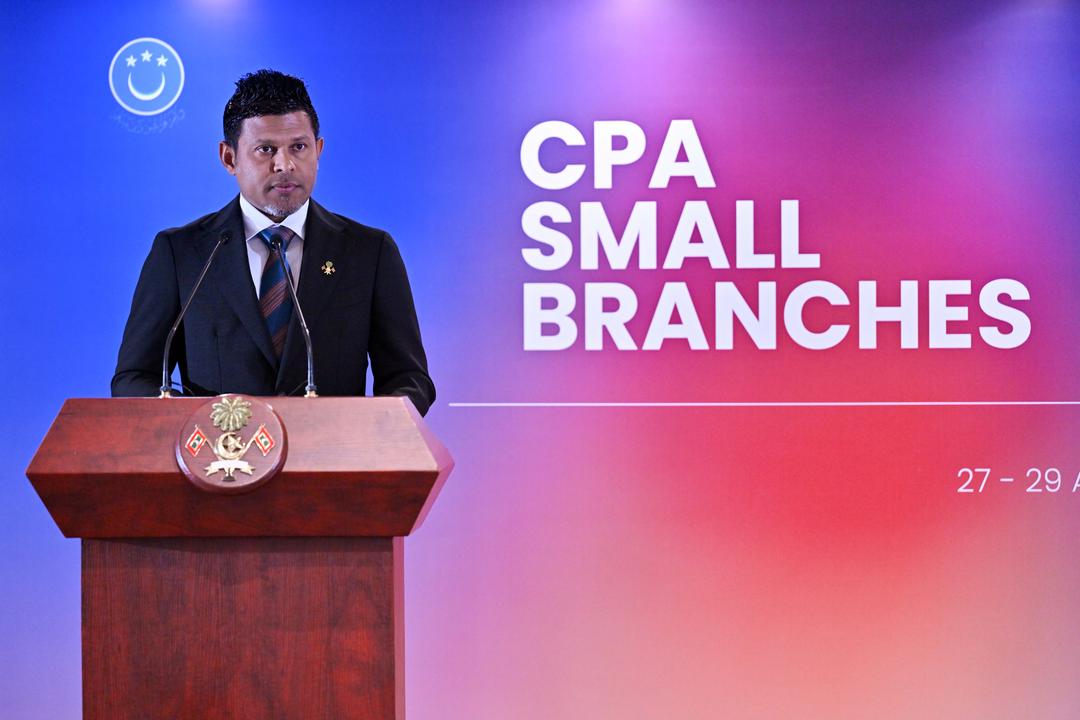 މިނިވަން ގާނޫނު ހަދާ މަޖިލިސްތަކެއް ބިނާކުރުމުގެ މުހިންމުކަން ރައީސުލްޖުމްހޫރިއްޔާގެ ނައިބު ފާހަގަކުރައްވައިފި