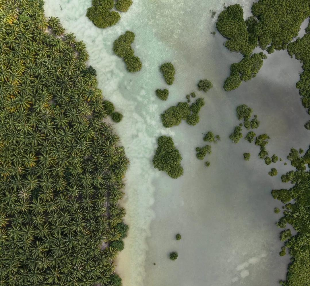 މަސްހިފަން މޫދަށް އެރި އުޅުނު ޒުވާނަކު ނިޔާވެއްޖެ