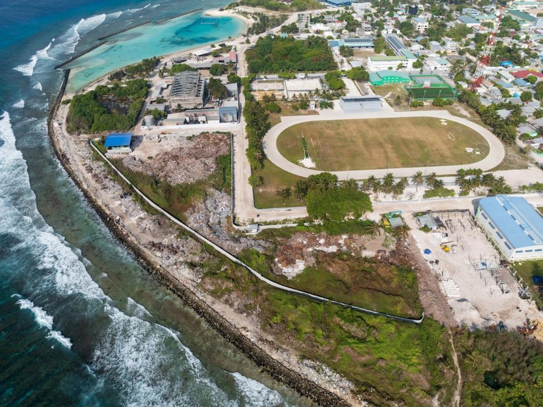 ކުޅުއްދުފުށީގައި ރުކަކުން ވެއްޓުނު މިހާ ނިޔާވެއްޖެ!