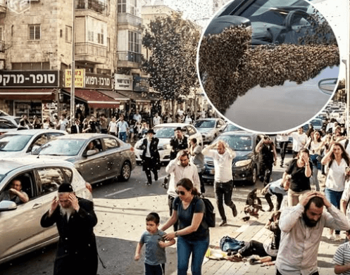 އިސްރާއީލަށް ރެކޯޑް މިންވަރަކަށް އަރައިގަތް މާމުތް ކުޅަނދުތަކާއި މައުރޫފް ރައްމާލްގެ މަރު