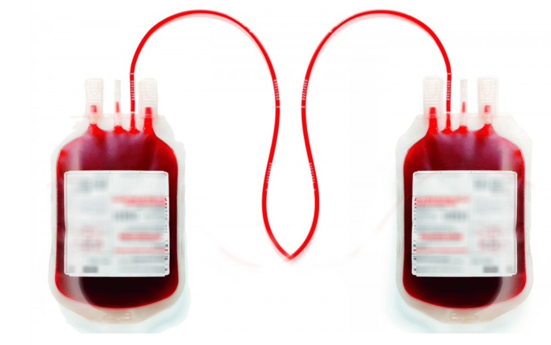 ތެލަސީމިއާ ކުދިންނަށް ކުނިވެފައިވާ ލޭ އެޅިކަމަށް ބުނާ ވާހަކައަކީ ދޮގެއް