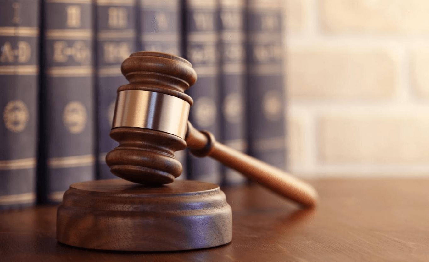  ހަ ފަނޑިޔާރުންގެ ނިންމުން: ދިވެހި ދުސްތޫރީ ހަޔާތުގެ ވަރުގަދަ ނިންމުމެއް