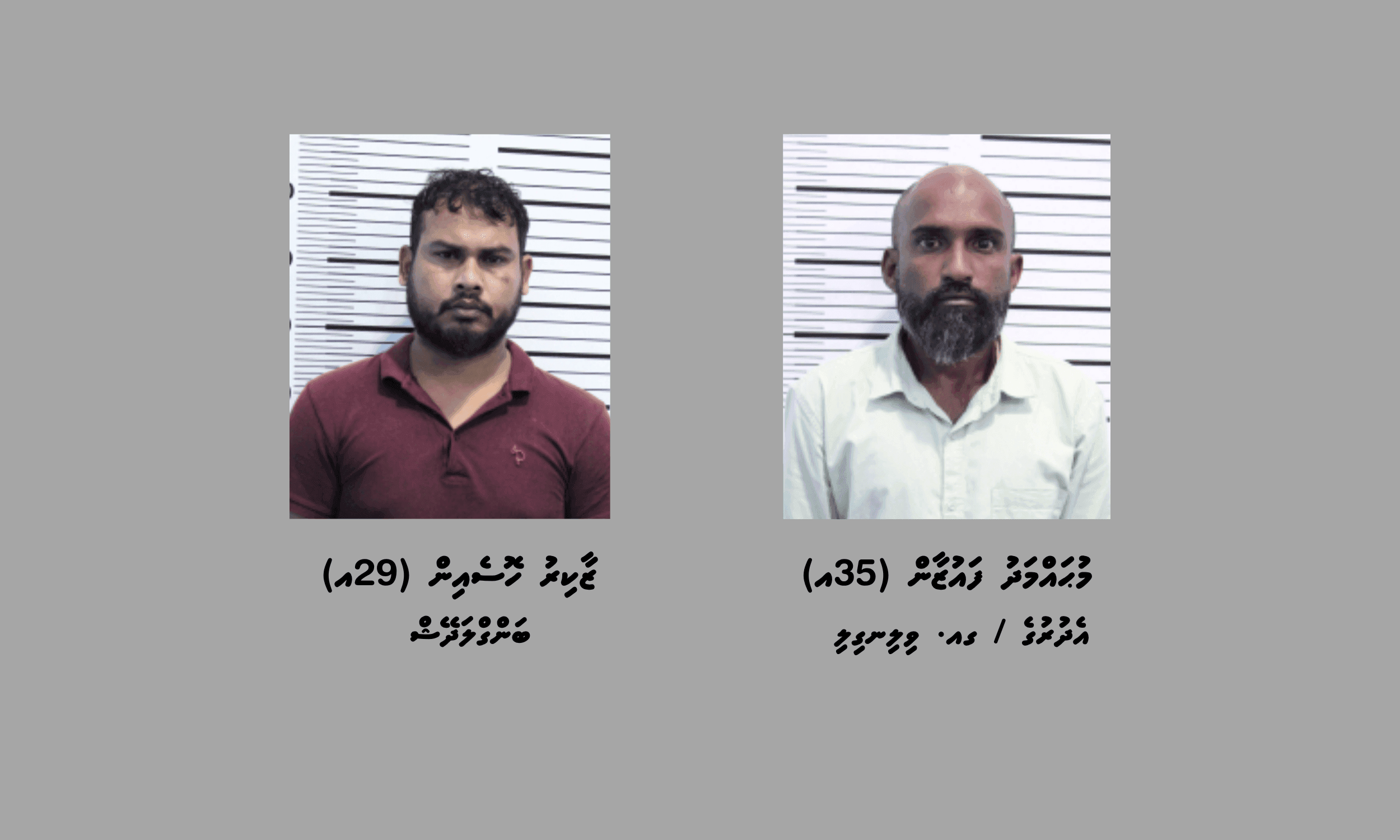 ކިލޯއަކަށްވުރެ ގިނަ މަސްތުވާތަކެއްޗާއެކު މާލެއިން ދެ މީހުން ހައްޔަރުކޮށްފި