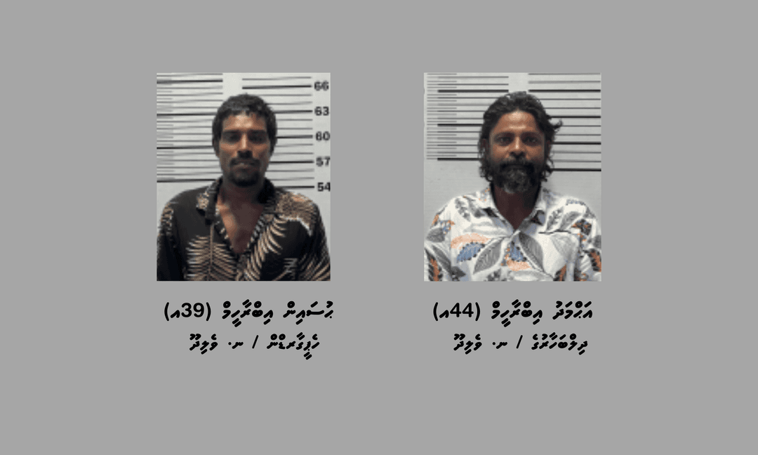 ޑައިމޯފިން ޓްރެފިކްކުރުމުގެ ކުށް ސާބިތުވެ ދެމީހަކު ޖަލަށްލުމަށް ހުކުމްކޮށްފި