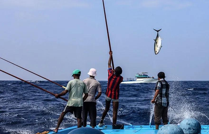 ކަނޑުމަހުން ނަގާ ޑިއުޓީ ދެ އަހަރަށް ކަނޑާލަން އިނގިރޭސި ވިލާތުން ނިންމައިފި