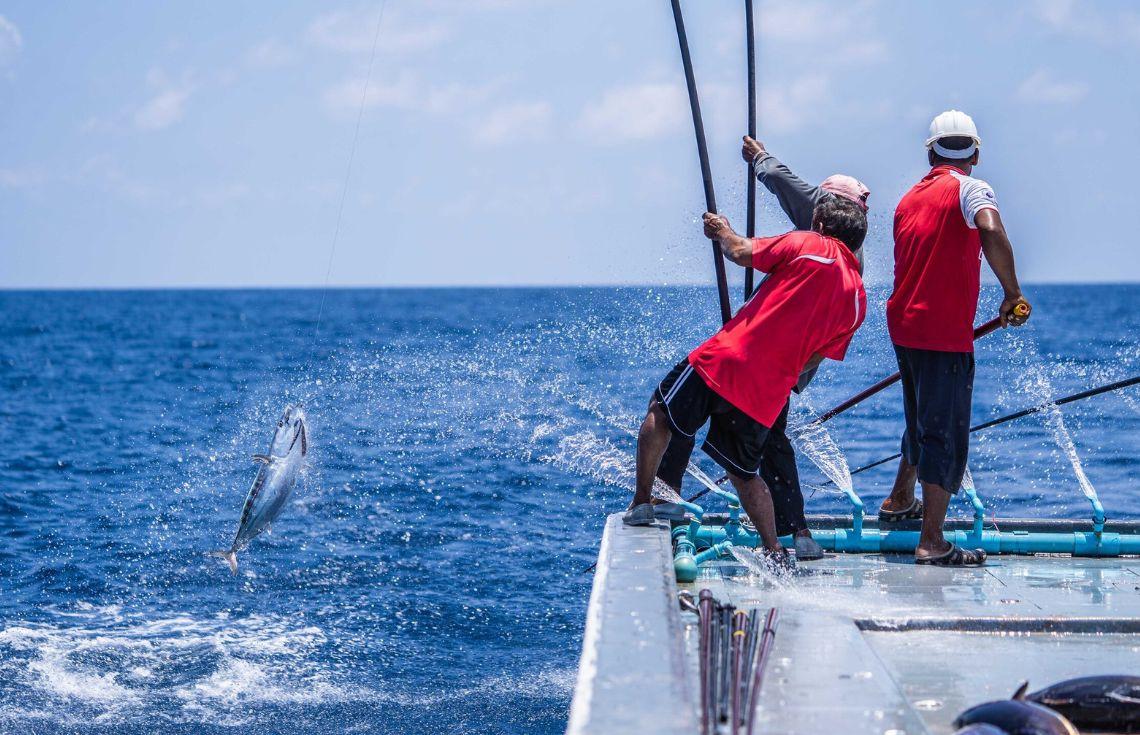ދެމެހެއްޓެނިވި މަސްވެރިކަމަކީ ރާއްޖޭގެ ނޫ އިޤްތިޞާދާއި މަސްވެރި އާއިލާތަކުގެ ދިރިއުޅުމުގެ އަސާސް: މިނިސްޓްރީ