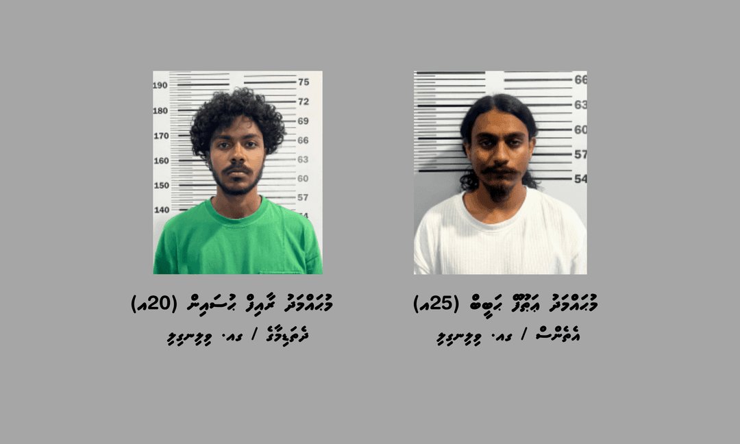 ކުޑަކުދިން ބޭނުންކޮށްގެން މަސްތުވާތަކެތީގެ ވިޔަފާރިކުރި ދެ މީހަކު ހައްޔަރުކޮށްފި