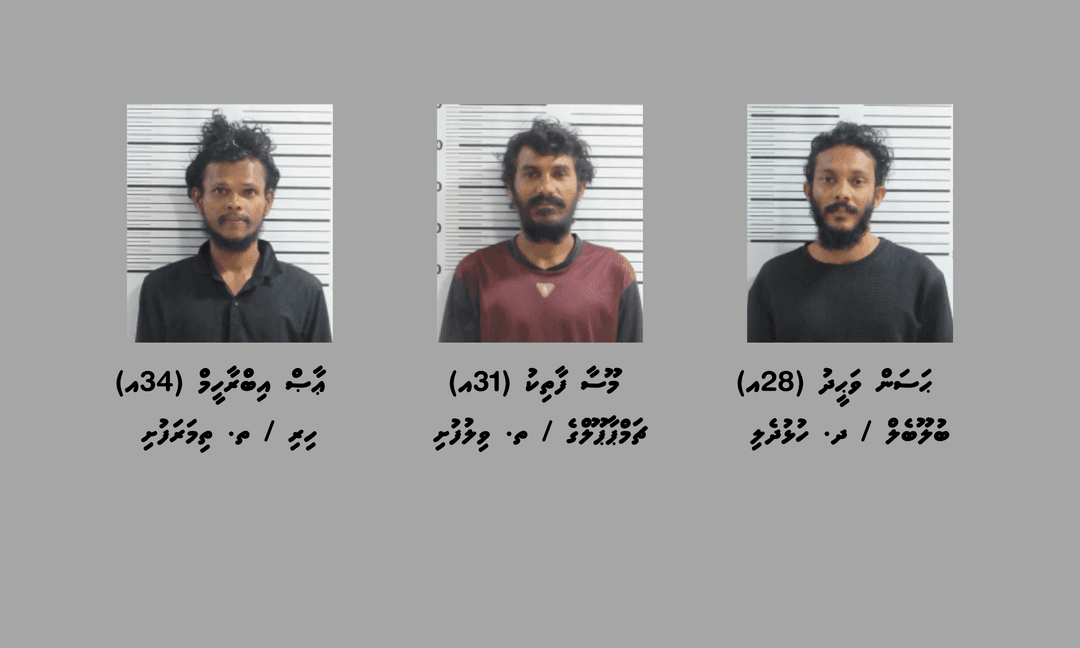 މަސްތުވާތަކެތީގެ މައްސަލައެއްގައި ވިލުފުށިން ތިން މީހުން ހައްޔަރުކޮށްފި