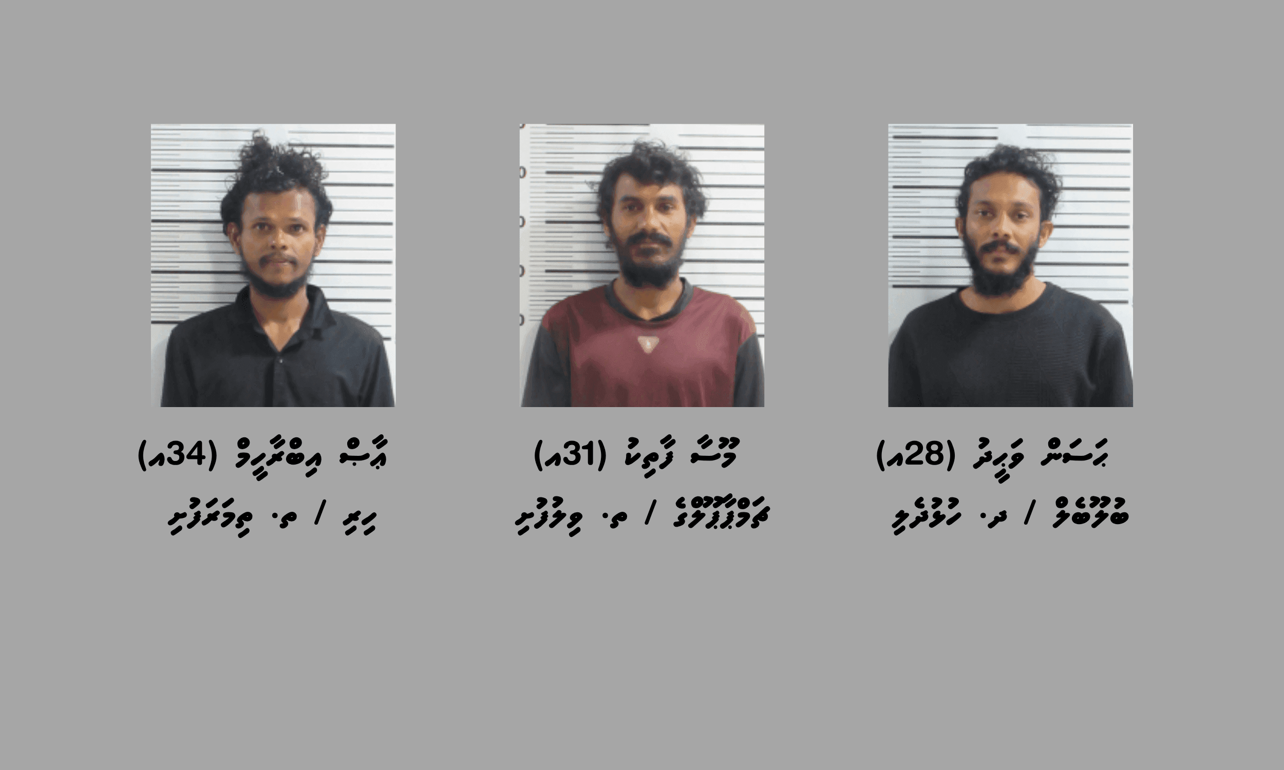 މަސްތުވާތަކެތީގެ މައްސަލައެއްގައި ވިލުފުށިން ތިން މީހުން ހައްޔަރުކޮށްފި