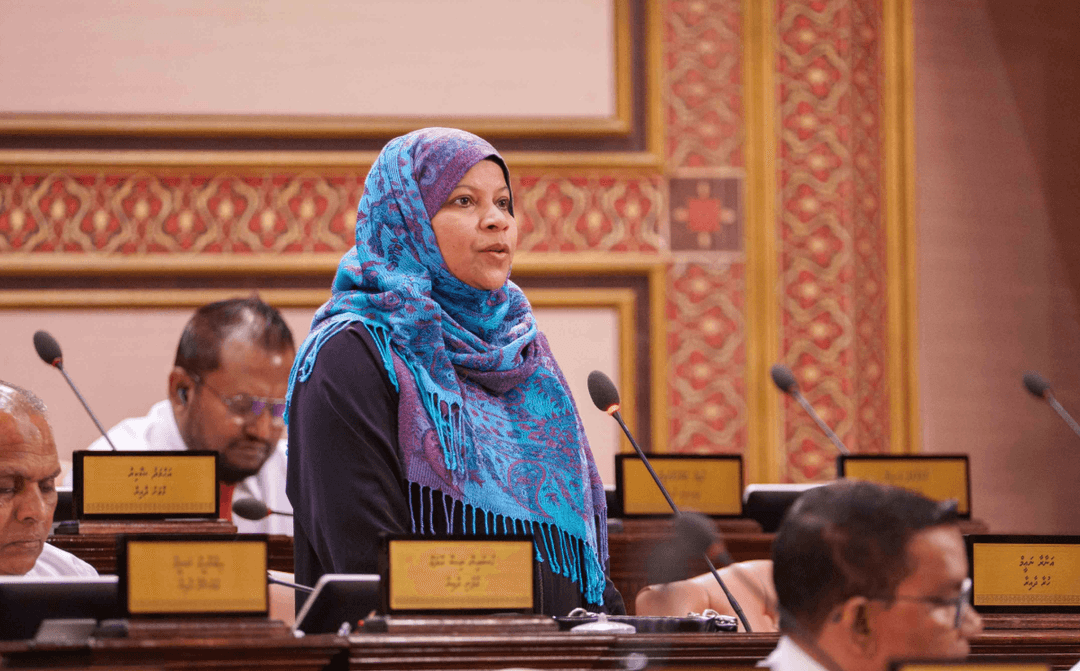 ކޮރަޕްޝަނަށް ހުޅުވޭ ދޮރުތައް ޑިޖިޓަލް ޓްރާންސްފޮމޭޝަންގެ ބިލުން ބަންދުވެގެންދާނެ: އަނާރާ