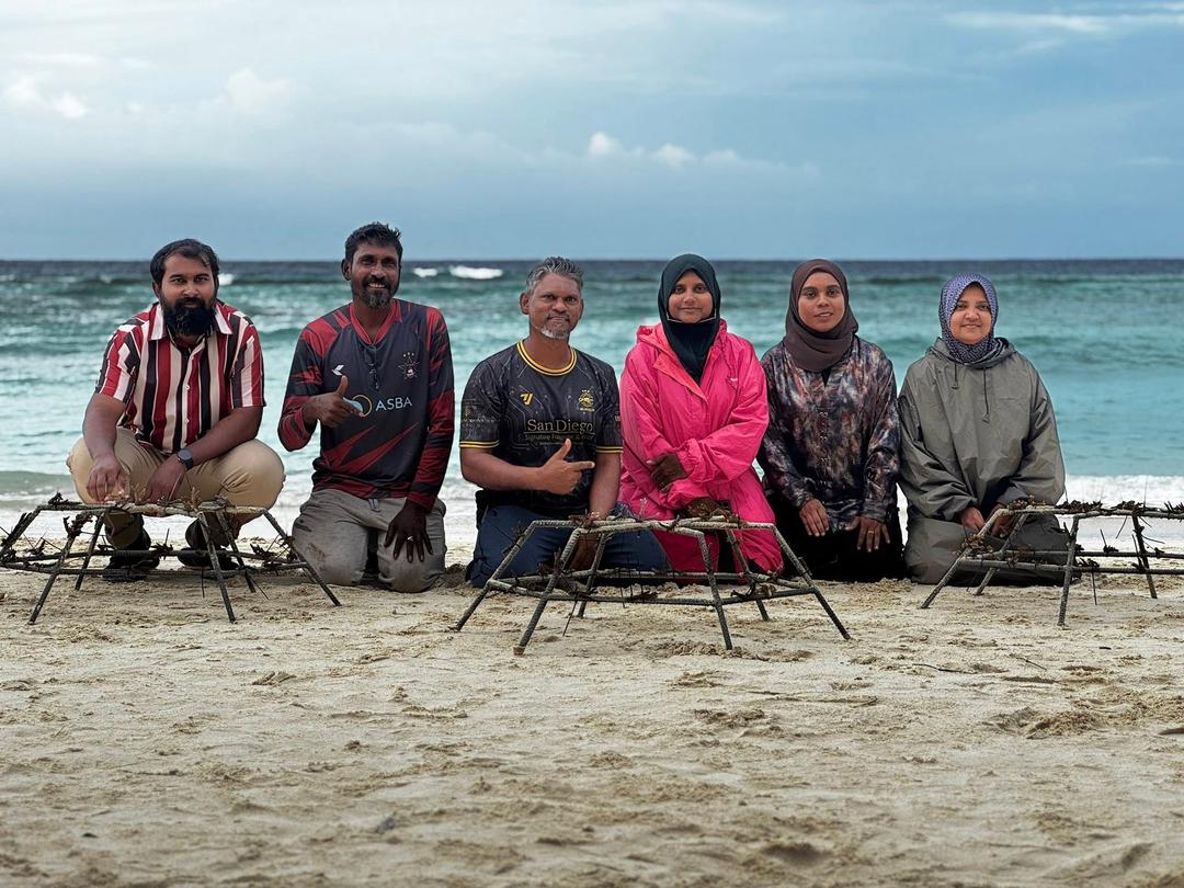 މުރަކަ އިންދުމުގެ މަޝްރޫޢެއް ”ޔޫތު އައި އަލިފުށި“ ޒުވާނުން ފަށައިފި