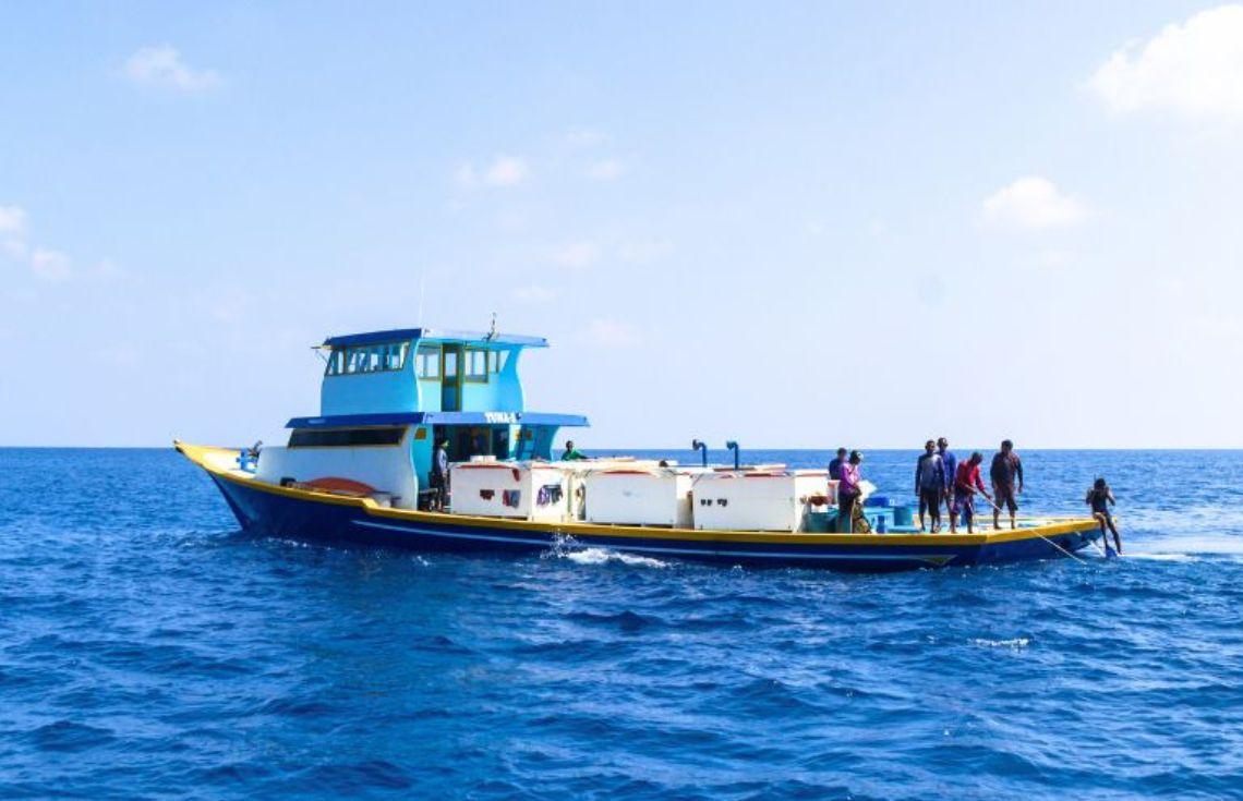 ހިމާޔަތްކޮށްފައިވާ ސަރަޙައްދުގައި ދުއްވާ އުޅަނދުފަހަރުގެ ބުރަފަތީގައި ރައްކާތެރިކަމުގެ ދާޖެހުން މަޖުބޫރުކޮށްފި