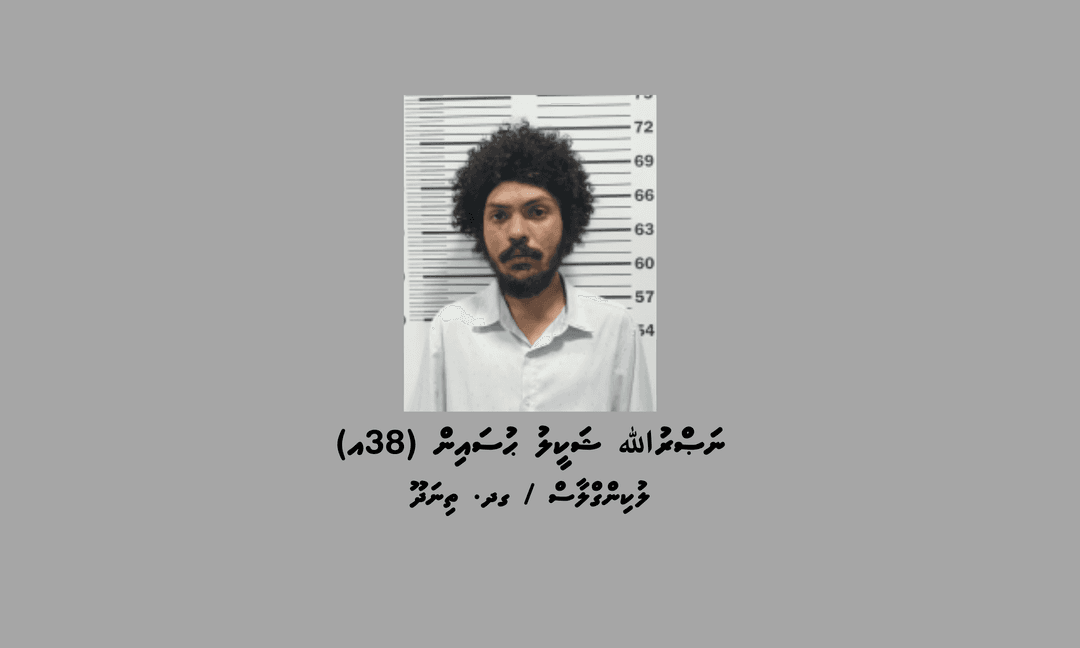 ވިނަރެސް ފުލެޓު ކަރަންޓު ފޮށިތަކަށް ގެއްލުންދިން މީހަކު ހައްޔަރުކޮށްފި