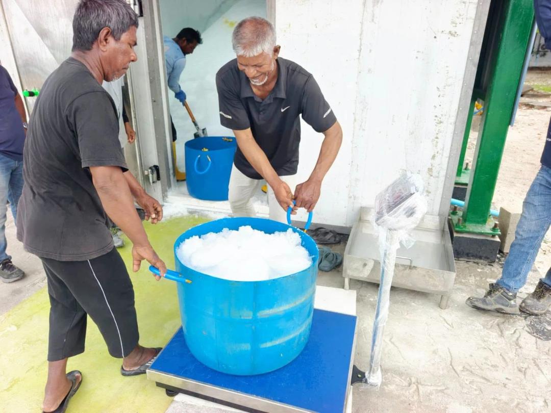 ކަނޑުއޮތްގިރިން އައިސް ވިއްކަން ފަށައިފި
