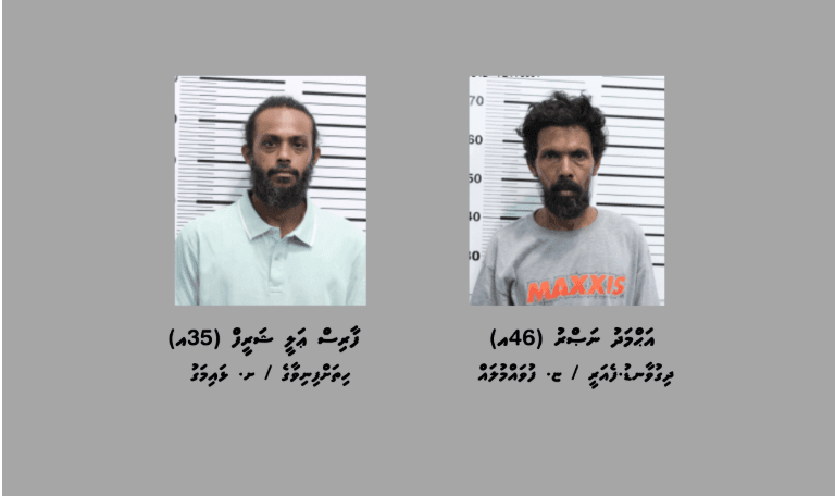 ހާޑްވެއަރ ފިހާރައެއްގެ ބިއްލޫރިގަނޑު ތަޅާލައި ވައްކަން ކުރި ދެ މީހުން ހައްޔަރުކޮށްފި