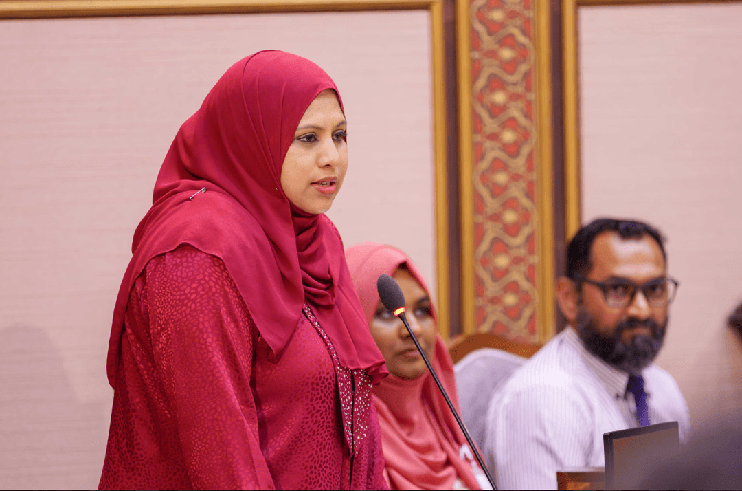 މުންނާރު ބެލެހެއްޓުމުގައި ދިމާވާ އެންމެ ބޮޑު ގޮންޖެހުމަކީ ރަނގަޅު ކޮލިޓީގެ އުވަ ހޯދުން: ހީނާ
