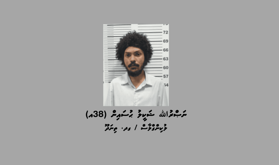 ވިނަރެސް ފުލެޓުތަކުގެ ކަރަންޓު ފޮށިތަކަށް ގެއްލުންދިން މީހަކު ހައްޔަރުކޮށްފި