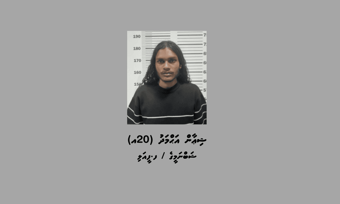 މަސްތުވާތަކެތި ވިއްކާ ވިޔަފާރި ކުރުމުގެ ތުހުމަތުގައި 26 ސެލޯފިންކޯޅާ އެކު ޒުވާނަކު ހައްޔަރު ކޮށްފި