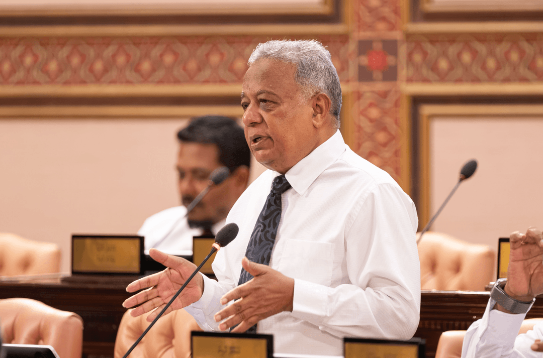 20 ވަނަ  މަޖިލީހުގެ ދައުރު ނިމިގެންދާއިރު ހުރިހާ މަސައްކަތްތަކެއްގެ ބާރުވެރިކަން ރައްޔިތުންނަށް ލިބޭނެ: ސަލީމް